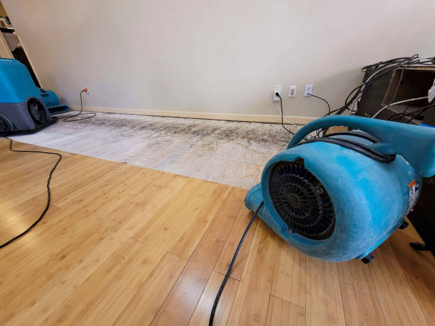 Professional Structural Drying technician working in Sunnyside, GA